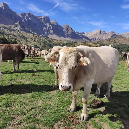 Apartman Acogedor Duplex Sandiniés