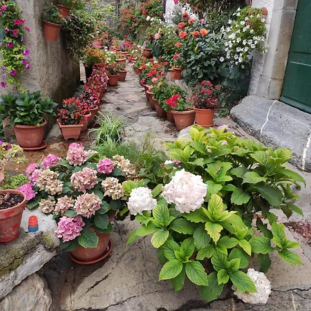 Acogedor Duplex Sandiniés