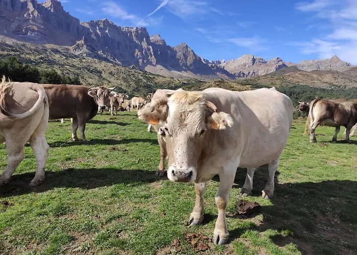 Lägenhet Acogedor Duplex Sandiniés