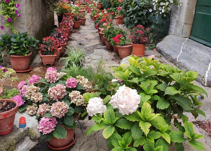 Acogedor Duplex Sandiniés